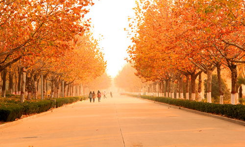 秋景作文優(yōu)美開頭100字