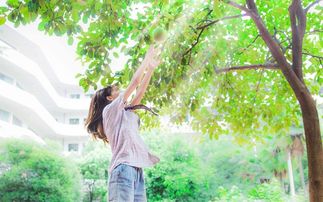 我們的學校寫景600字作文開頭