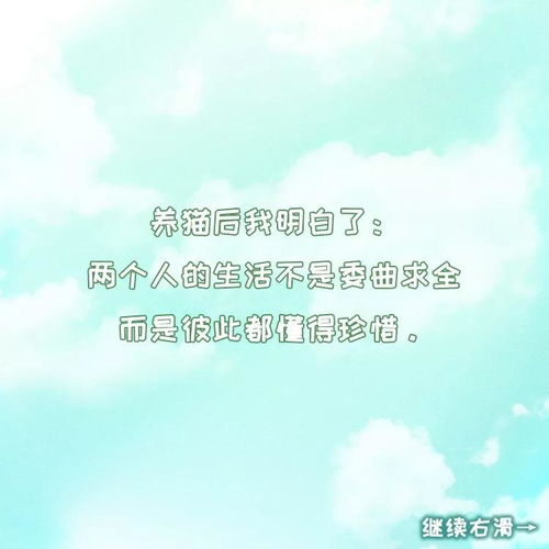 關(guān)于慢慢的我懂了寬容的作文開(kāi)頭