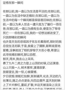 時(shí)間在那一刻定格作文600字作文開頭結(jié)尾