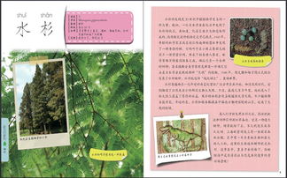 作文,奧秘,大自然,開頭