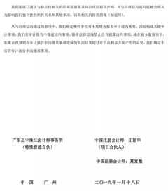 上市公司審計(jì)報(bào)告(上市公司審計(jì)報(bào)告)