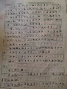 當(dāng)有人冤枉時(shí)作文小升初開頭