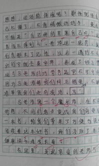謝謝你的愛作文700字作文開頭