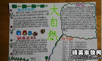有啟示的作文600字作文開頭
