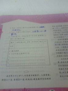 我的樂(lè)與憂開(kāi)頭作文