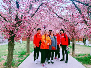 年關(guān)于五一活動(dòng)報(bào)道(關(guān)于教師節(jié)活動(dòng)報(bào)道)