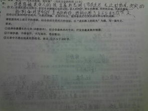 關(guān)于成長(zhǎng)道路的詩(shī)作文開頭