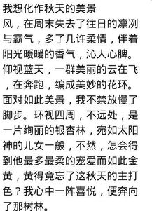 我的財(cái)富作文寫景開頭