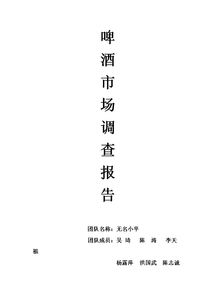 啤酒市場(chǎng)調(diào)查報(bào)告范文(中國(guó)啤酒品牌市場(chǎng)調(diào)查報(bào)告)