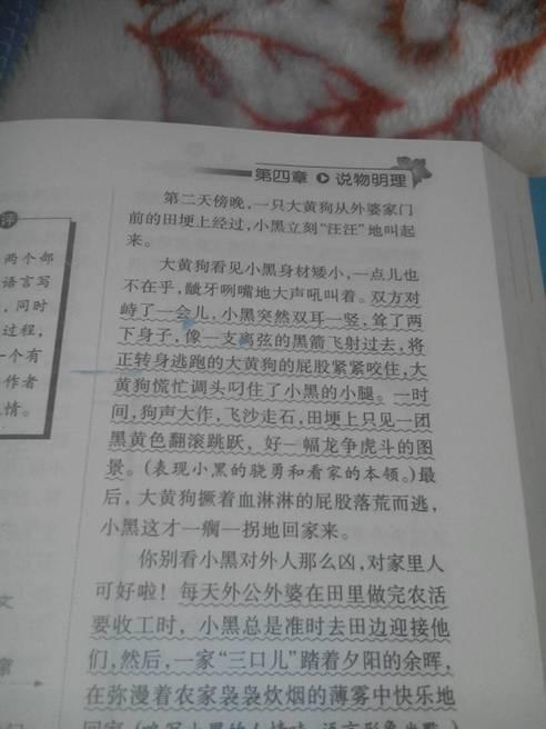 我想養(yǎng)的小動物800字作文開頭