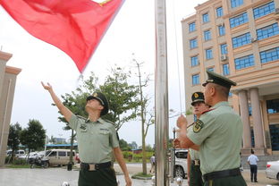 那個特殊的日子作文開頭