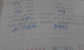 有關(guān)童年的趣事作文范文(有關(guān)童年的趣事的作文)