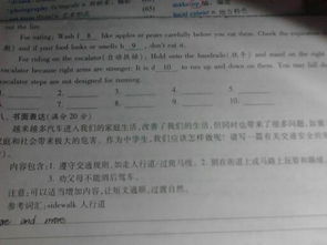 遵守規(guī)交通規(guī)則的作文開頭