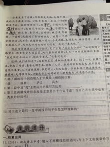 關(guān)于散步的作文開頭,以散步為題的作文開頭,散步作文開頭怎么寫