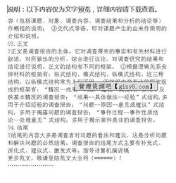 實踐調查報告格式范文(實踐調查報告格式)