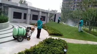 綠化消殺通知書模板(物業(yè)綠化員工消殺培訓)