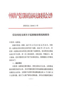 巡察整改報(bào)告(巡察反饋意見(jiàn)整改報(bào)告)