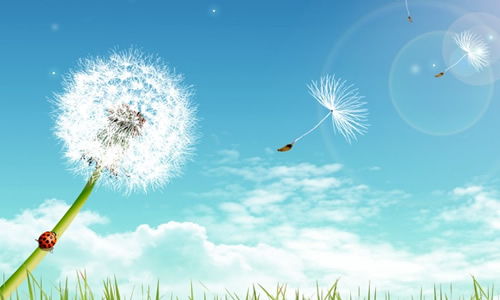 關(guān)于拼搏青春的作文開(kāi)頭