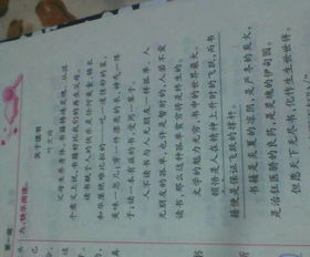 我和父親的故事作文開頭