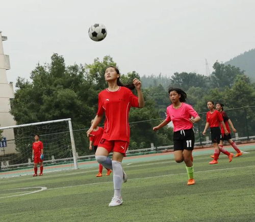 體校怎么考 (體校怎么進 )