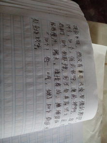 遺憾作文開(kāi)頭結(jié)尾大全