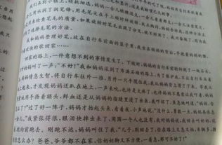 我用什么回報(bào)父母作文1000字作文開頭