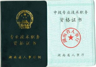 評(píng)中級(jí)職稱技術(shù)總結(jié)(評(píng)中級(jí)職稱技術(shù)總結(jié))