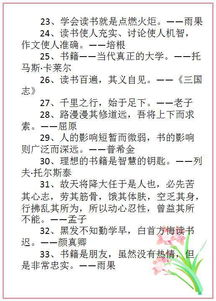 親情類型作文開頭名人名言