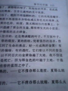 這次我沒有錯(cuò)過(guò)秋天作文開頭