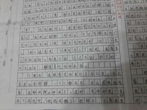 需要挫折600字作文開頭