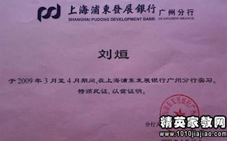 醫(yī)院會(huì)計(jì)年終述職報(bào)告(醫(yī)院會(huì)計(jì)年終總結(jié))