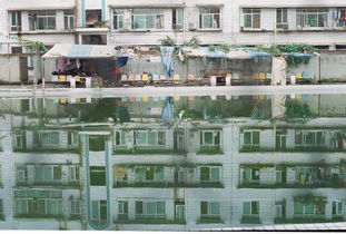 懷念母校200作文開(kāi)頭