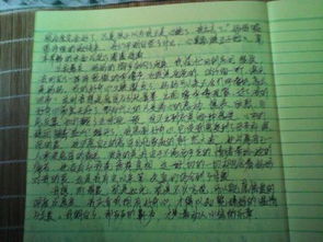 選擇好奇作文開頭