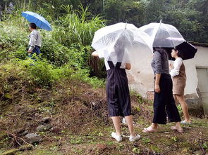 幼兒園安全隱患自查報告(幼兒園安全隱患排查自查報告)