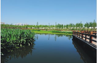 河道治理方案參考(城市河道生態(tài)治理綜述)