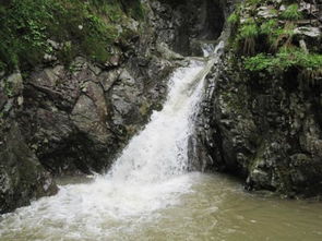 大自然的奇觀作文開頭