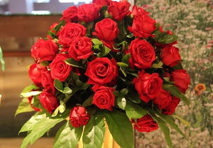 玫瑰作文開頭有的人喜歡什么