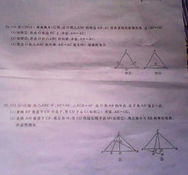 友誼為題作文600字作文開(kāi)頭怎么寫(xiě)