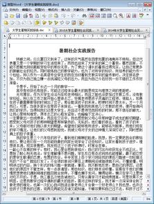 大學(xué)生實(shí)踐報(bào)告字(暑假大學(xué)生實(shí)踐報(bào)告)