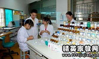 社區(qū)醫(yī)院的實習(xí)心得(社區(qū)醫(yī)院實習(xí)心得)