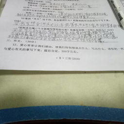 幫助別人自己幸福的作文開頭結(jié)尾