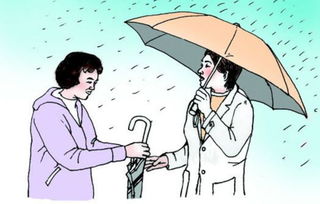 感動雨中送傘的作文開頭