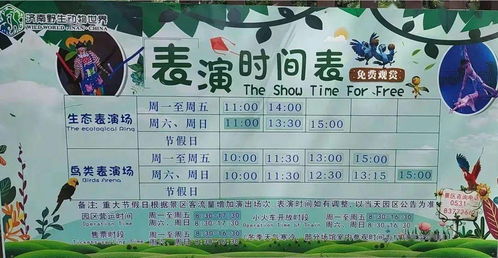 奇妙的旅行的作文開頭