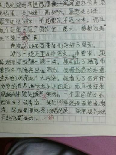 暑假開頭初2作文200字