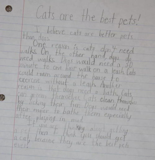 關(guān)于中國式表達(dá)的作文,表達(dá)真情實(shí)感的作文開頭,表達(dá)思念的作文開頭