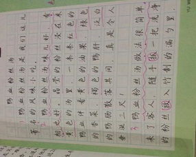 沈陽著名小吃作文開頭