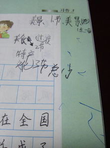 家鄉(xiāng)美景美食作文開(kāi)頭