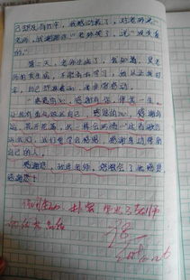 最敬佩的人作文好開頭和結(jié)尾