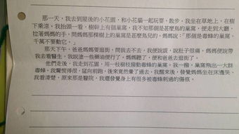 關(guān)于美食的作文題目,開頭結(jié)尾,萬能的作文題目開頭和結(jié)尾,好的作文題目開頭結(jié)尾